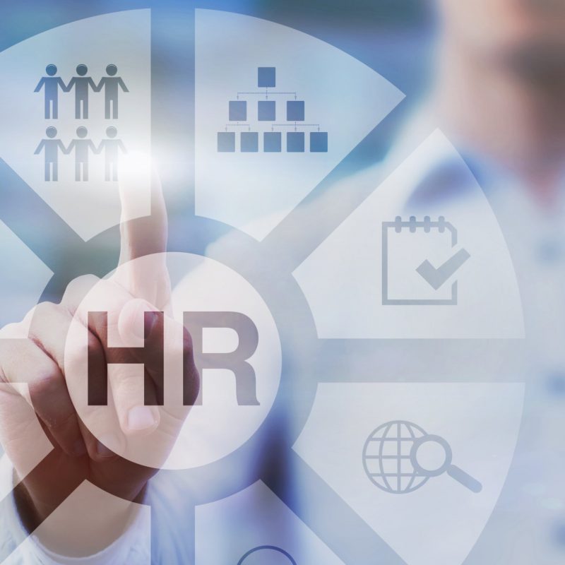 Human Resource Consultant